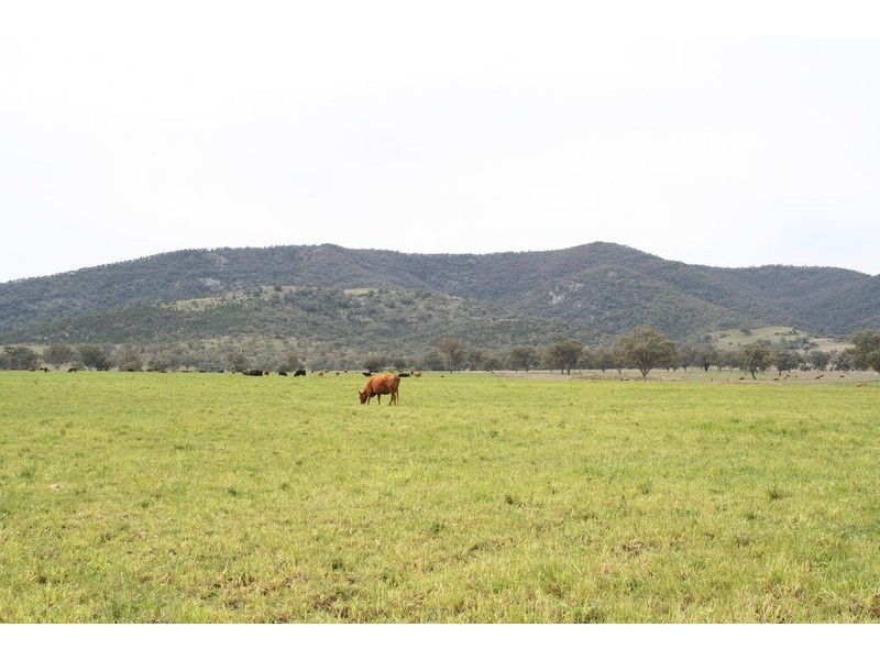 ARDROSS, QUIRINDI /, Tamworth NSW 2340