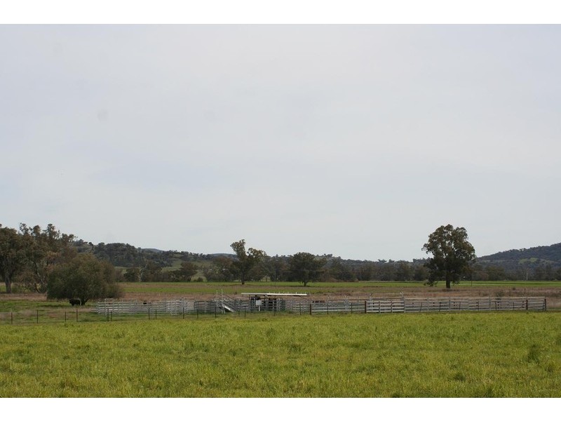 ARDROSS, QUIRINDI /, Tamworth NSW 2340