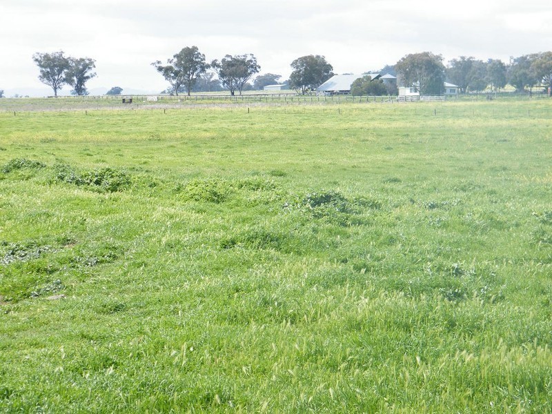 Lot 2 East Street, Quirindi NSW 2343