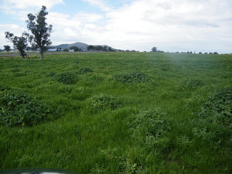 Lot 2 East Street, Quirindi NSW 2343