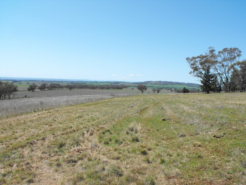 962 Oakwood Rd, Inverell NSW 2360