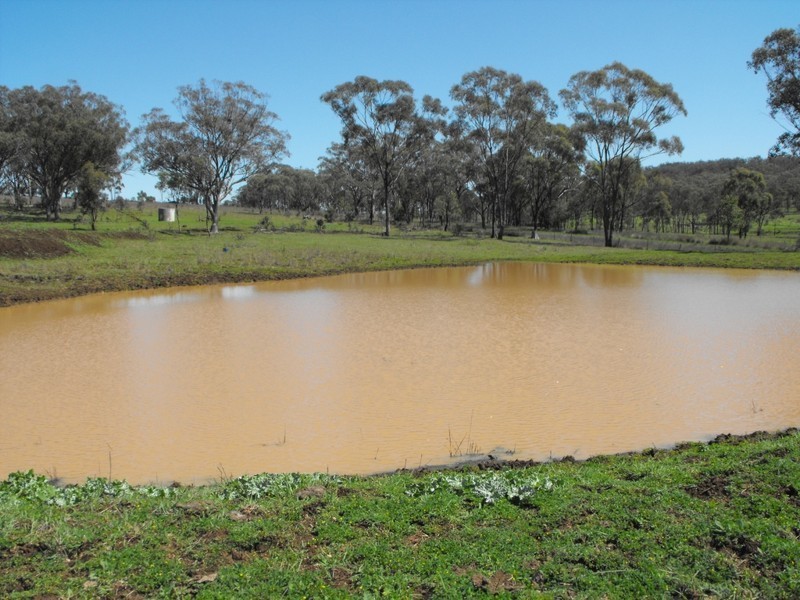 962 Oakwood Rd, Inverell NSW 2360