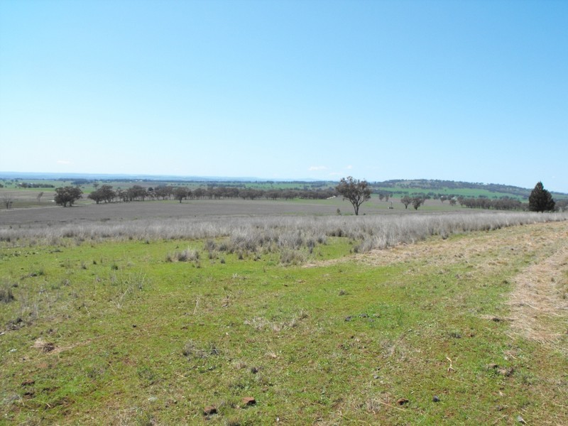 962 Oakwood Rd, Inverell NSW 2360