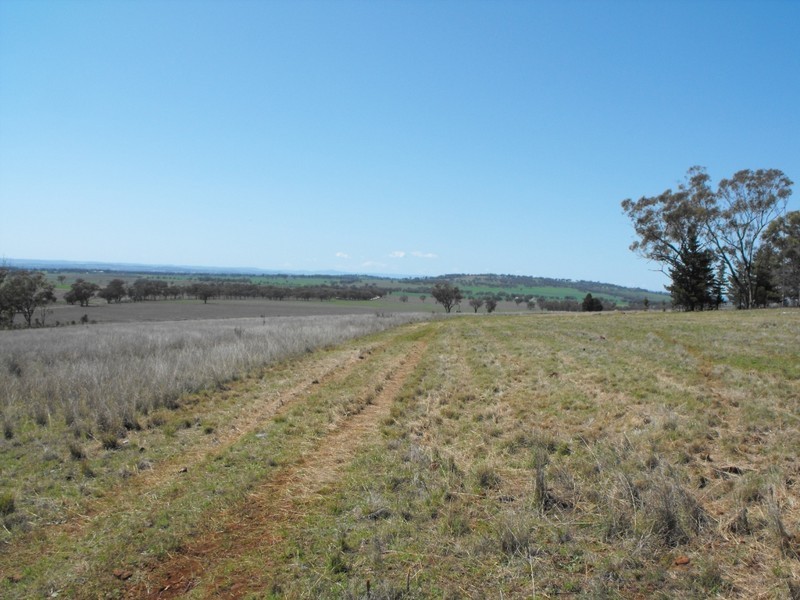 962 Oakwood Rd, Inverell NSW 2360