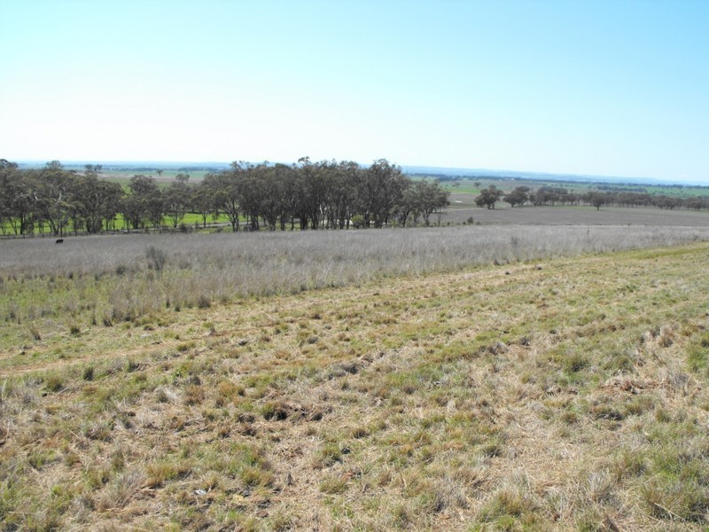 962 Oakwood Rd, Inverell NSW 2360