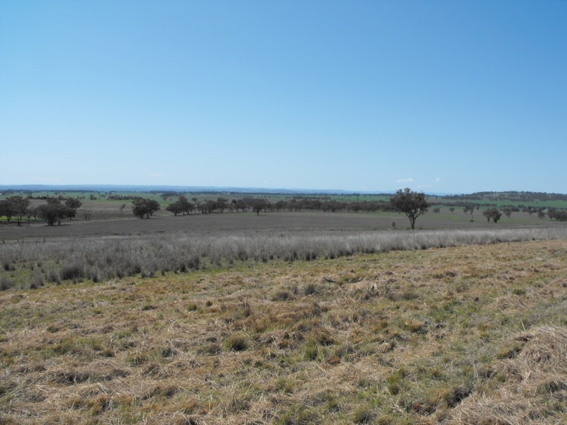 962 Oakwood Rd, Inverell NSW 2360