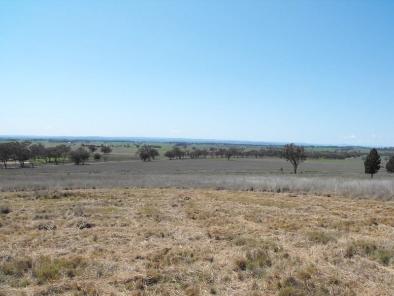 962 Oakwood Rd, Inverell NSW 2360