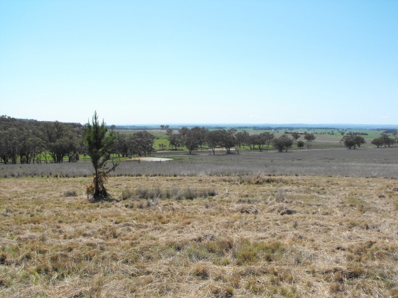 962 Oakwood Rd, Inverell NSW 2360