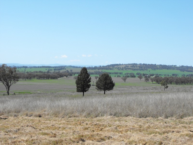 962 Oakwood Rd, Inverell NSW 2360