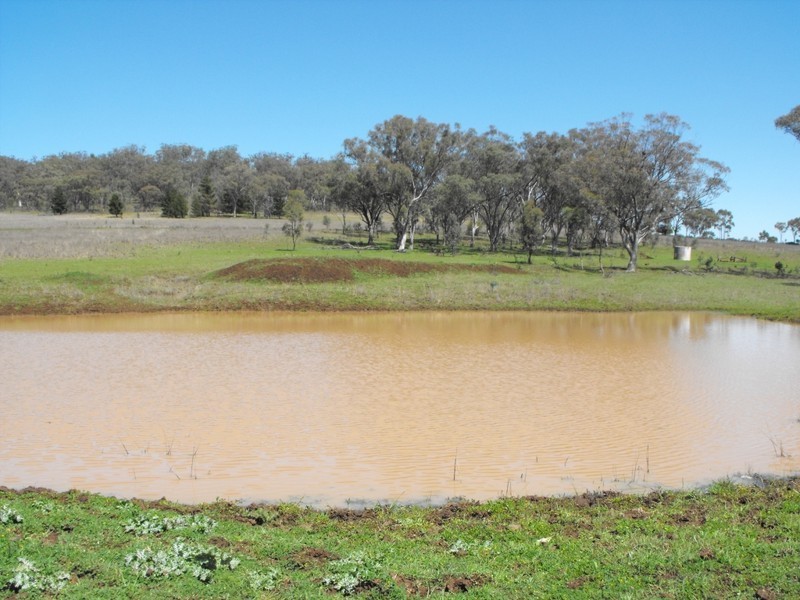 962 Oakwood Rd, Inverell NSW 2360