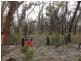 Passchendale Timor Road, Coonabarabran NSW 2357