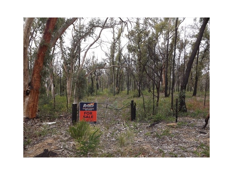 Passchendale Timor Road, Coonabarabran NSW 2357
