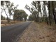 Passchendale Timor Road, Coonabarabran NSW 2357
