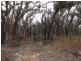 Passchendale Timor Road, Coonabarabran NSW 2357