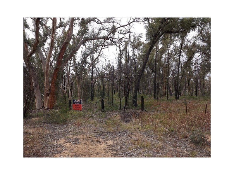 Passchendale Timor Road, Coonabarabran NSW 2357
