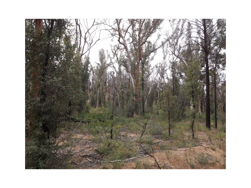 Passchendale Timor Road, Coonabarabran NSW 2357