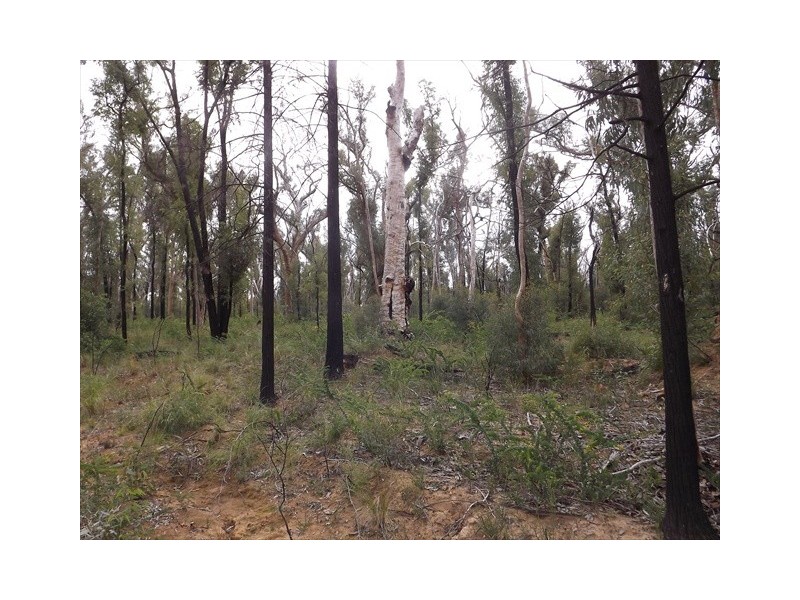 Passchendale Timor Road, Coonabarabran NSW 2357