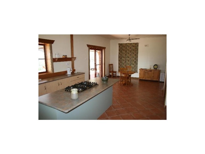 SHAMATAH ROSE, Kamilaroi Hwy, Quirindi NSW 2343