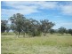 321 Callaghans Lane, Quirindi NSW 2343