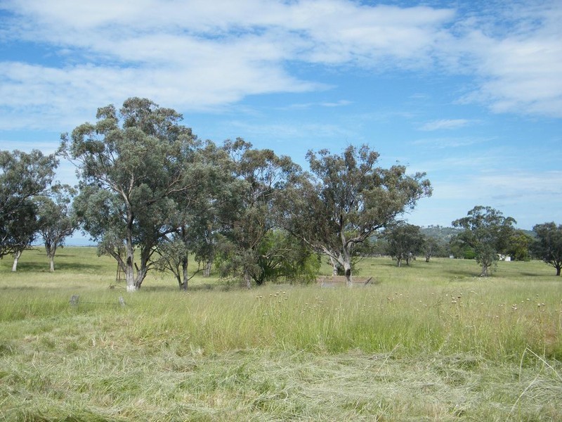 321 Callaghans Lane, Quirindi NSW 2343