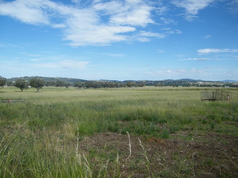 321 Callaghans Lane, Quirindi NSW 2343