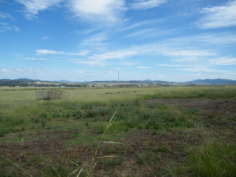 321 Callaghans Lane, Quirindi NSW 2343