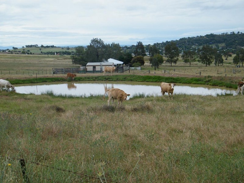 33 Annies Lane, Quirindi NSW 2343