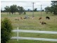 33 Annies Lane, Quirindi NSW 2343