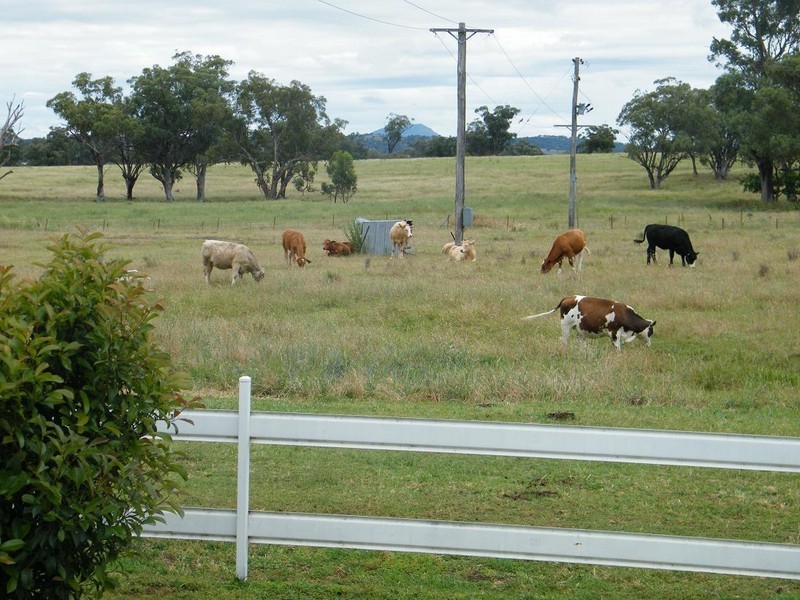 33 Annies Lane, Quirindi NSW 2343