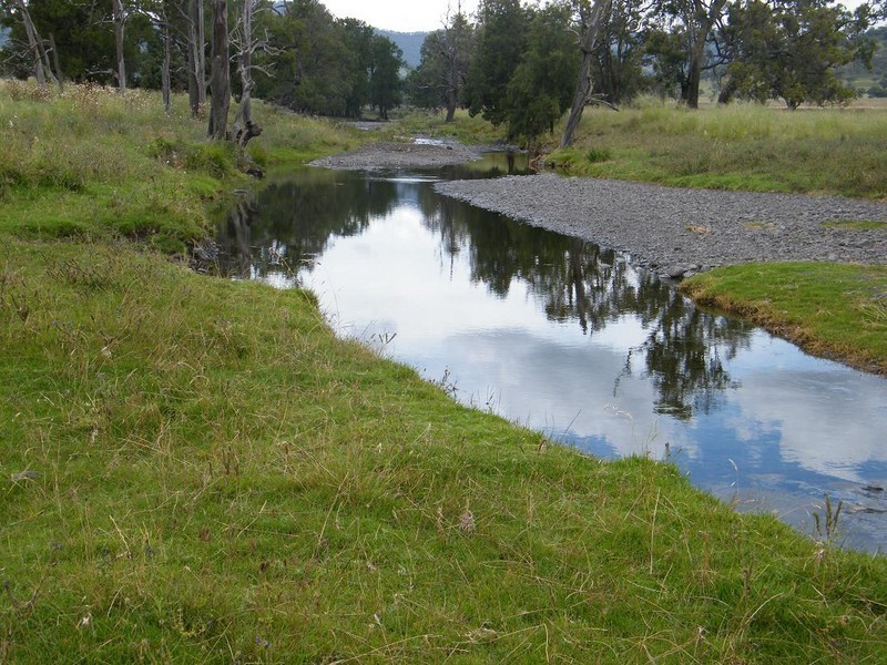 540 Big Jacks Creek Rd, Willow Tree NSW 2339