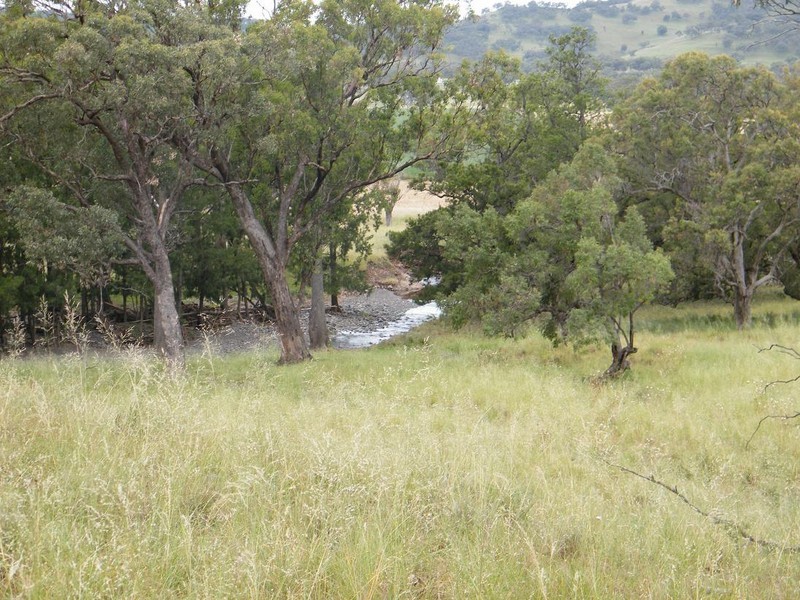 540 Big Jacks Creek Rd, Willow Tree NSW 2339