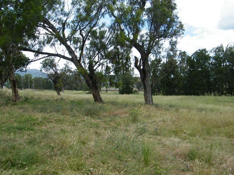 540 Big Jacks Creek Rd, Willow Tree NSW 2339