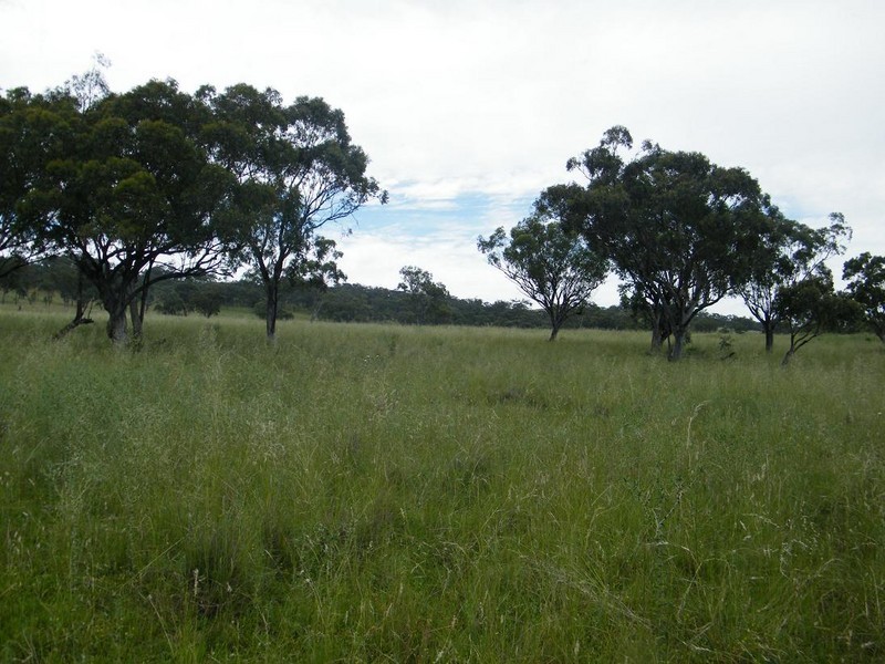 540 Big Jacks Creek Rd, Willow Tree NSW 2339