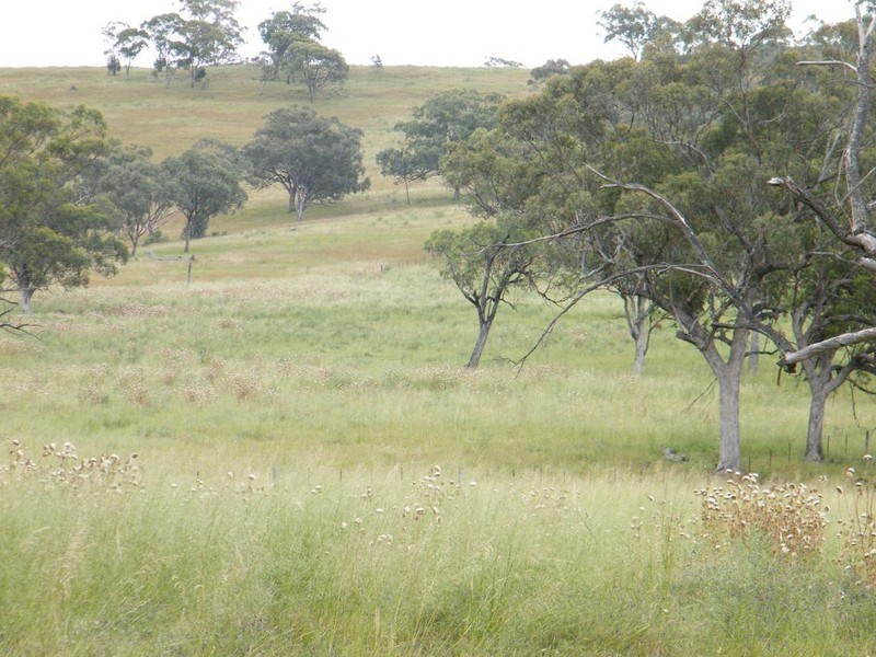 540 Big Jacks Creek Rd, Willow Tree NSW 2339