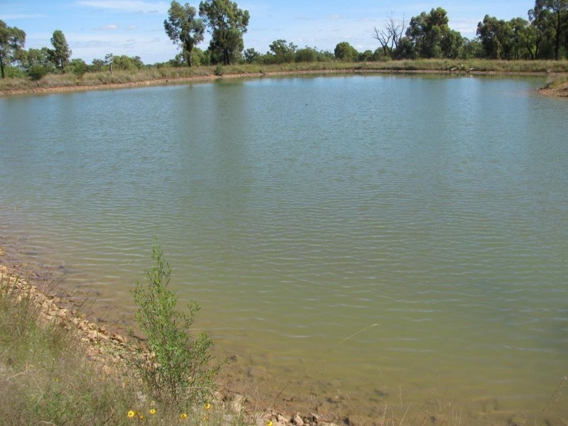 261 Tuppiari Road, Narrabri NSW 2390