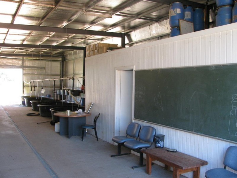 261 Tuppiari Road, Narrabri NSW 2390