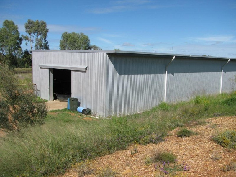 261 Tuppiari Road, Narrabri NSW 2390