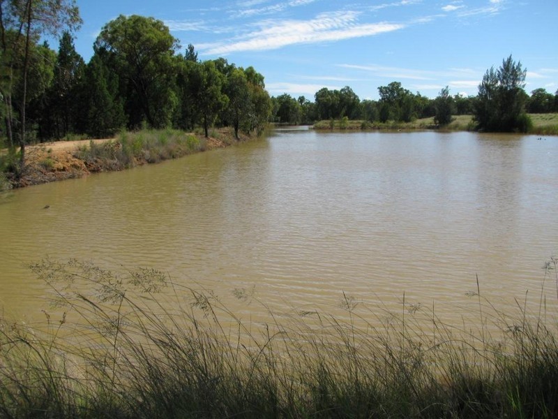 261 Tuppiari Road, Narrabri NSW 2390