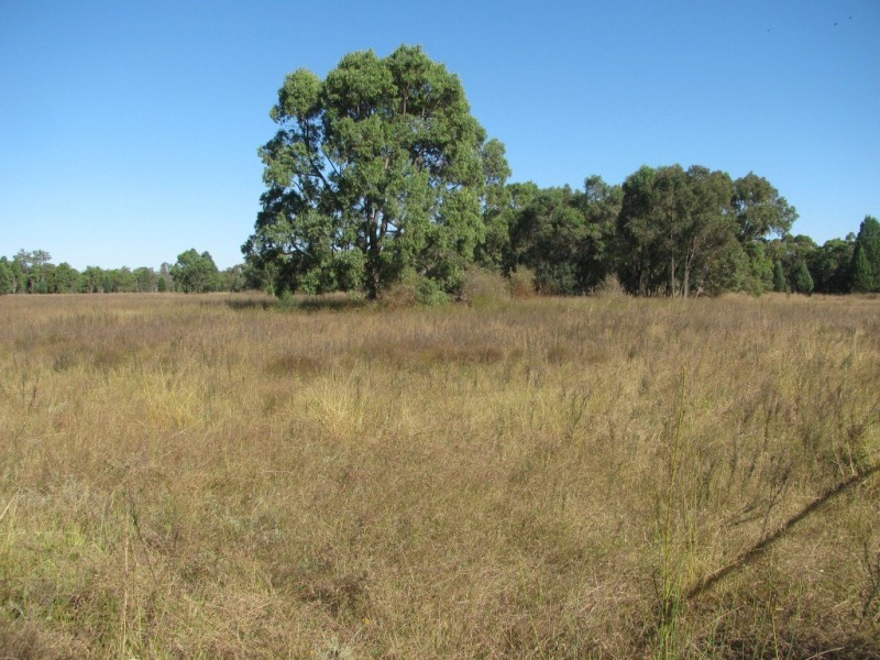 79 Yarranabee Road, Narrabri NSW 2390