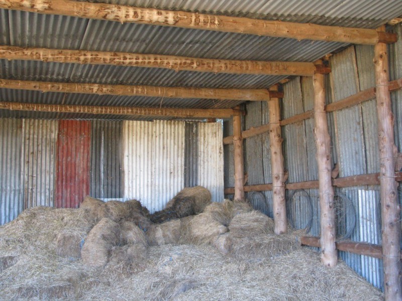 79 Yarranabee Road, Narrabri NSW 2390