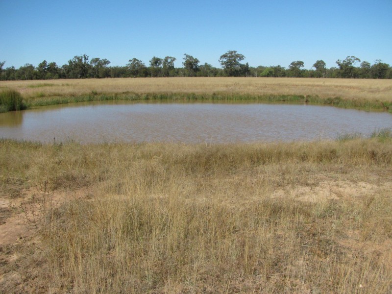 79 Yarranabee Road, Narrabri NSW 2390