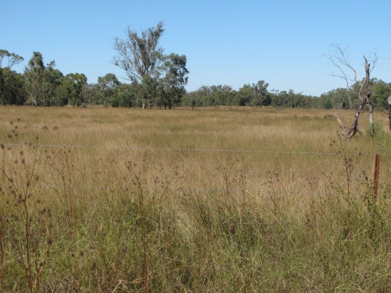 79 Yarranabee Road, Narrabri NSW 2390