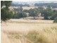 Blackville NSW 2343