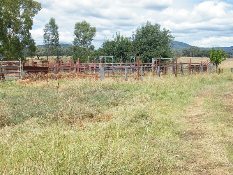 Blackville NSW 2343