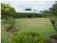 Blackville NSW 2343