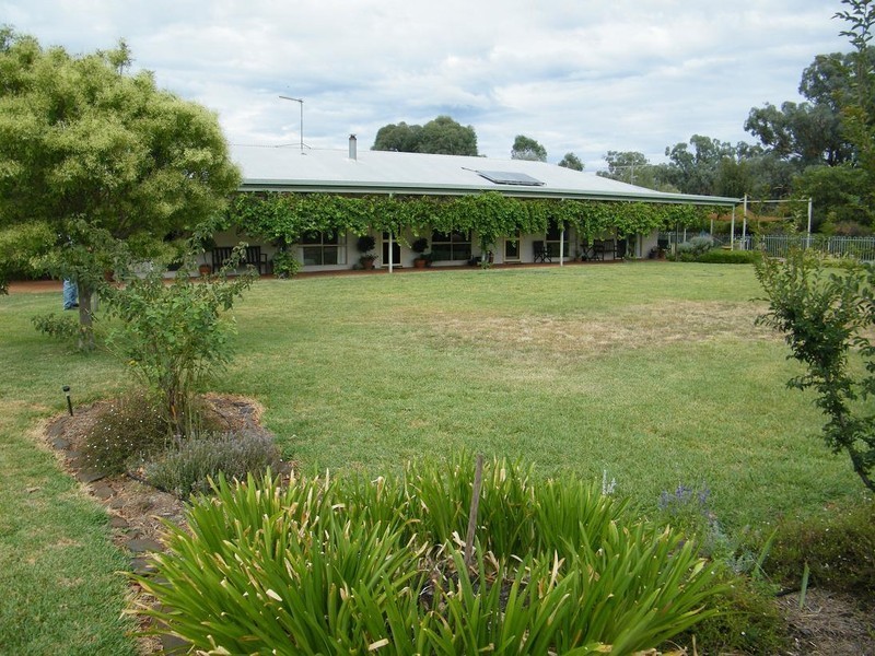 Blackville NSW 2343