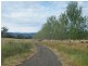 Blackville NSW 2343