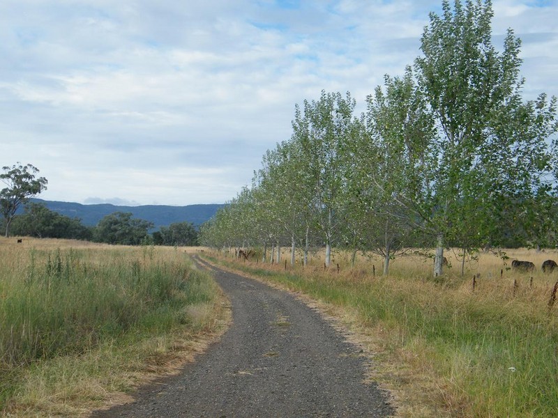 Blackville NSW 2343