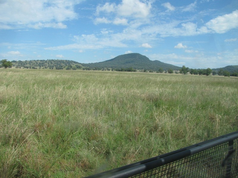 Nombi Park, Mullaley, Gunnedah NSW 2380