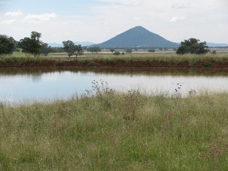 Nombi Park, Mullaley, Gunnedah NSW 2380